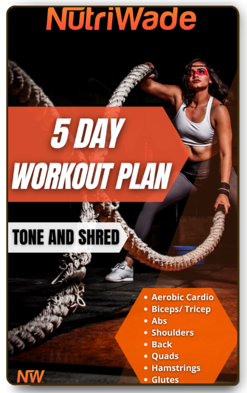 5 Day Workout Plan for Women